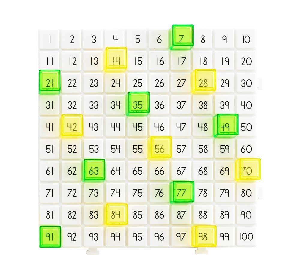 Hundred Board Activity Set