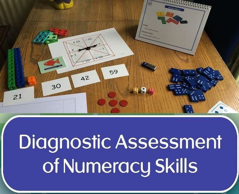 Diagnostic Assessment of Numeracy Skills (DANS)