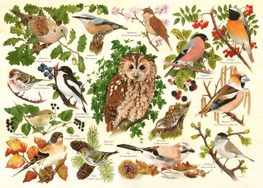 Woodland Birds BIG 500 Puzzle