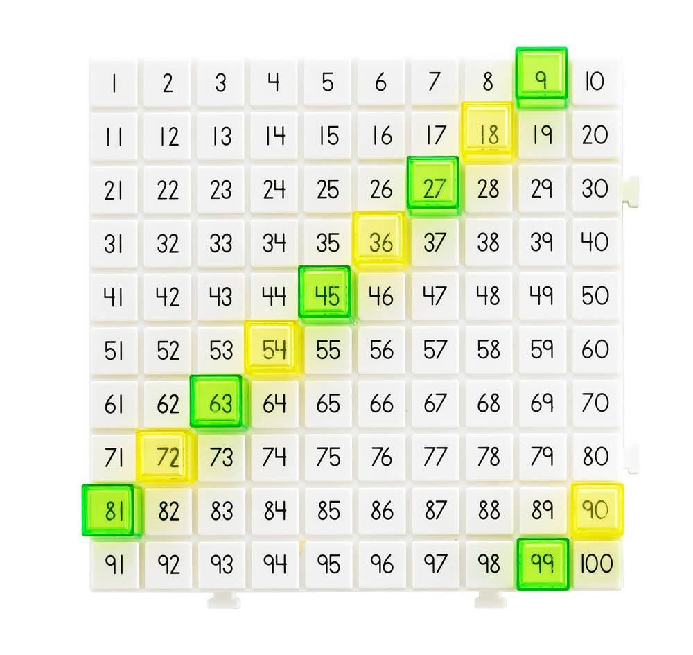 Hundred Board Activity Set