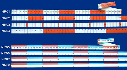 Number Roll 1 (1-100 Numbered Track)