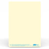 Show-Me - A4 Plain Tinted Drywipe Boards