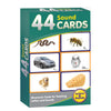 44 Sound Cards